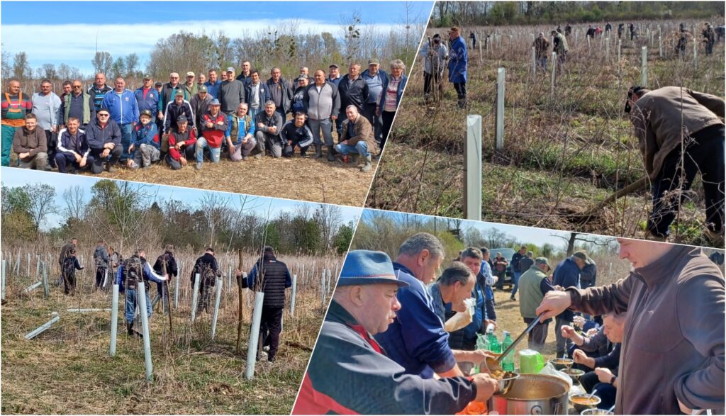 Akcija pošumljavanja, Hrvatske šume, Vularija, Udruga dragovoljaca i veterana Domovinskog rata Međimurske županije | Foto: Stjepan Horvat, Dražen Tkalec