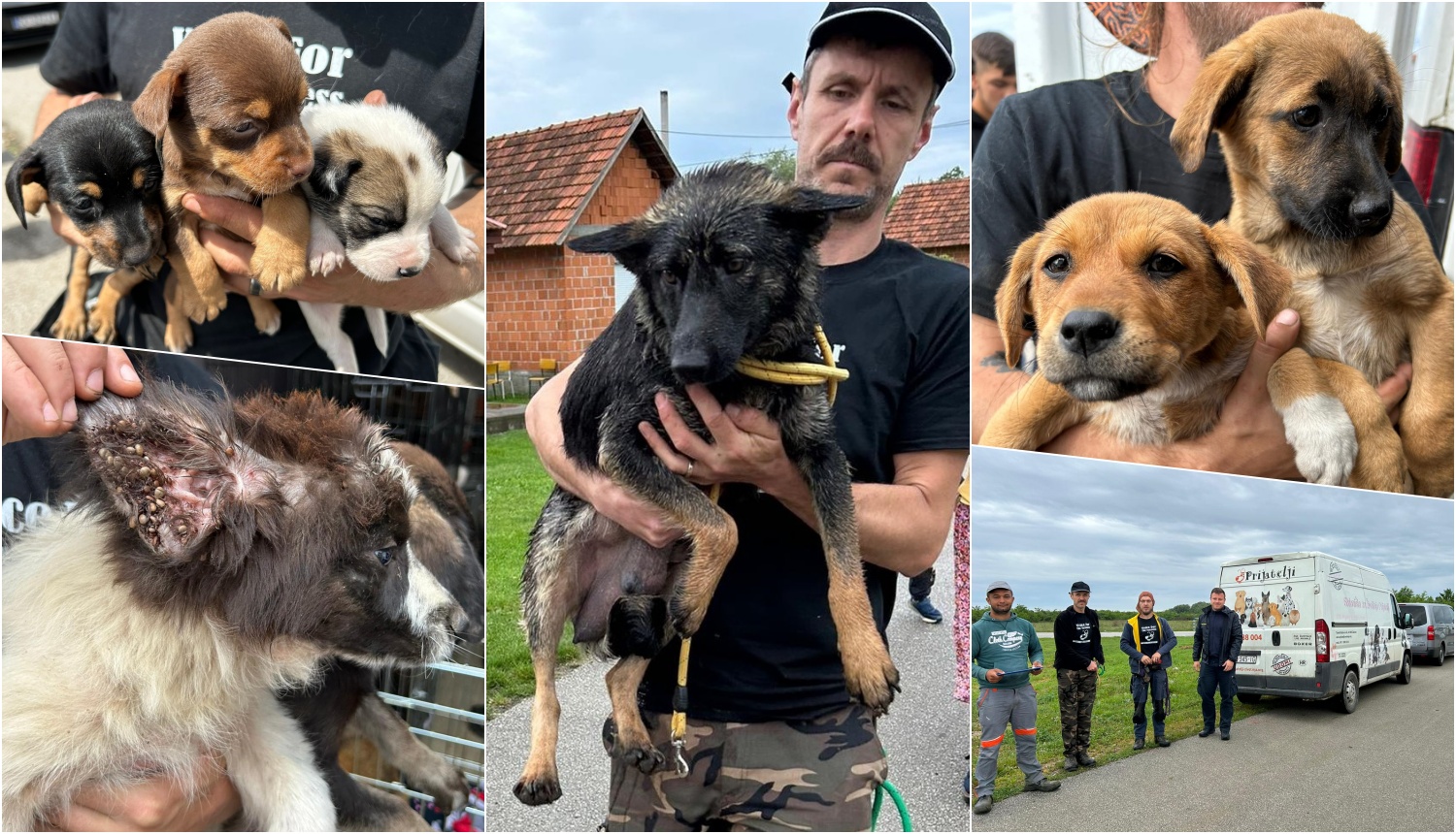 Zbrinjavanje pasa u romskom naselju Piškorovec, 14.5.2024. | Foto: Sklonište za životinje Prijatelji Čakovec